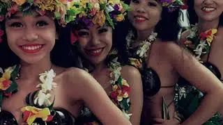 Summer Luau is Back!