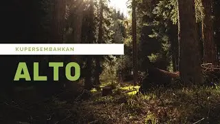 Alto - KUPERSEMBAHKAN / Martin Runi