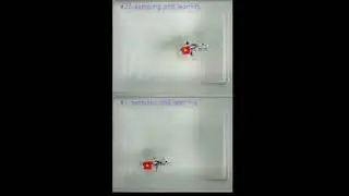 A soft artificial muscle driven robot with reinforcement learning