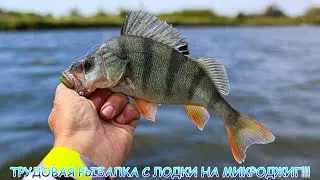 МИКРОДЖИГ в суровых условиях! Трудовая рыбалка с лодки!
