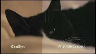 CineStyle Canon 60D test (raw and Graded)