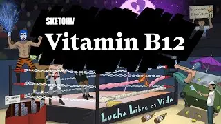 Vitamin B12 (Cobalamin) Lesson Overview (Part 1) | Sketchy Medical | USMLE Step 1