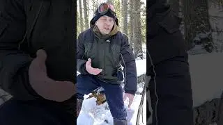ловлю себя на мысли ,что я не один такой🌲🌲🌲🌲🌲