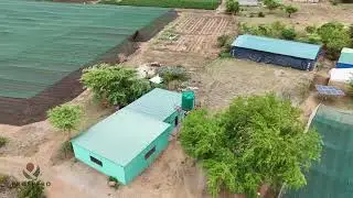 Panuka Farms