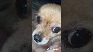 Кто обоссался на балконе