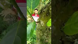 viral tiktok.shoting time শুটিং সময় tiktok 
