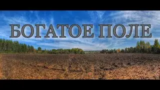 ОТЛИЧНЫЙ КОП С ДМИТРИЧЕМ