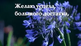 Поздравление на день рождения❤❤❤