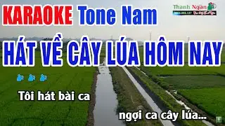 Hát Về Cây Lúa Hôm Nay Karaoke Beat Chuẩn Tone Nam - Nhạc Sống Thanh Ngân