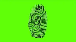 finger print green screen 