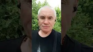 #Репортаж автора канала из Калининграда