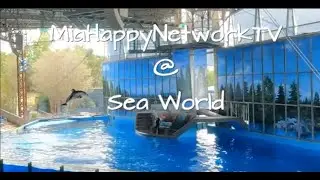 Sea World - San Antonio Trip 2023