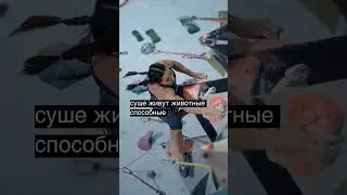 Удивительные животные: секреты дикой природы