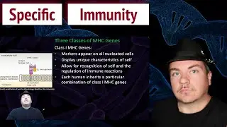 Specific Immunity: the Third Line of Defense