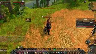 WoW Classic Henzul