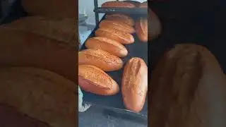 Батонная линия