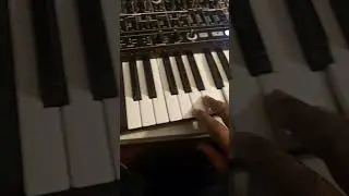 MiniBrute 2 with a Strymon Big Sky