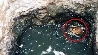 The kid fell into a deep well, everyone looked and could not help!