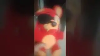 cute foxy cute pomni cute boris sad cat dance