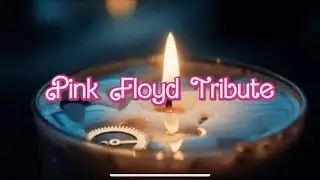 “Cold Dream” - Pink Floyd Tribute