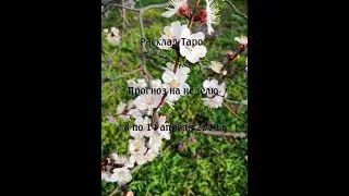 Расклад Таро. Прогноз на неделю с 8 по 14 апреля 2019 г.