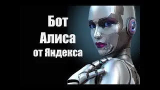 Чат-бот Алиса общается сама с собой.
