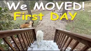 Our Big Move to the Country: Starting Over with the Pups | City to Country Living