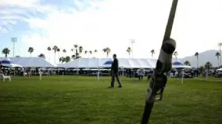 BULLS2011 606