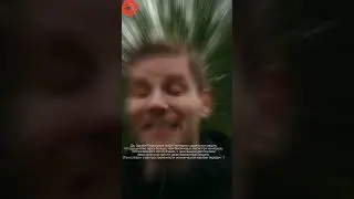 Дизель или бензин что выбрать и купить в Португалии отличия
