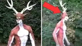 Creatures YOU DIDN'T KNOW EXISTED