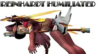 Im sorry Reinhardt