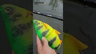 Wędzisko SG6 Alpha Monster Bait 259 cm 200-600g c.w.