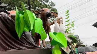 Divar Bonderam 2024 | ROMANTIC | #entertainment #goa #festival