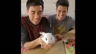 Bunk Bed Problems - Amazing Magic Show You Can Believe