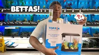 AMAZING New pet BETTA Fish Aquarium! @APIFishcare
