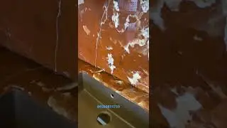 29 января 2023 г.