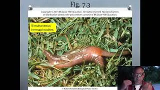 Zoology Lecture 20 - Reproductive Process