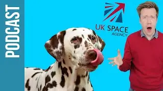UK Space Agency's Libby Jackson & Could Your Dog Poison You? (Fun Kids Science Weekly Podcast)