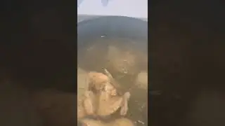 Caldo de pollo
