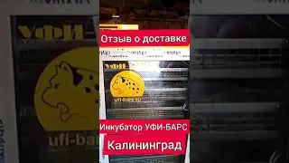 Инкубатор УФИ-БАРС. Отзыв о доставке.