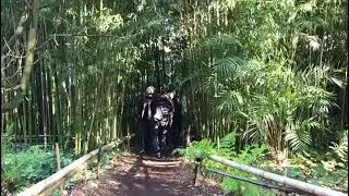 ПРОГУЛКА ПО АМЕРИКАНСКОМУ БОТАНИЧЕСКОМУ САДУ