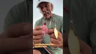 1 Spinnerbait For All Purpose Bassin? #fishinglure #fishingtips  #spinnerbaits #bassfishing #fishing
