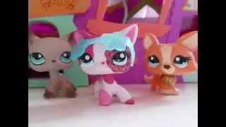 ★ LPS ~ Popular ★ - 4