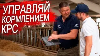 Управление кормлением коров. Кормушки для коров.