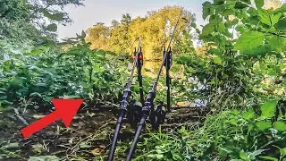 XXL Karpfen im Fluss 🐳 The River Vlog Folge 43