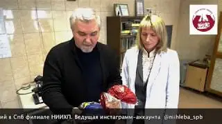 О терминах, которые мы используем.