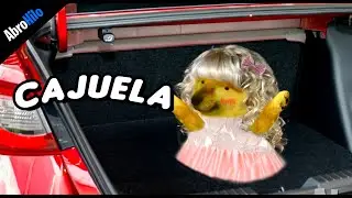 They left me forgotten in a trunk XD