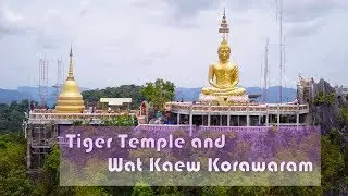 Thailand Vlog 12: Tiger Temple and Wat Kaew Korawaram