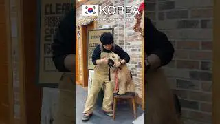 Muzzle training in Korea and Russia (Russian meme) #Animal #Muzzle #shorts