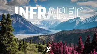 Create an Infrared Effect For Your Videos + FREE LUT
